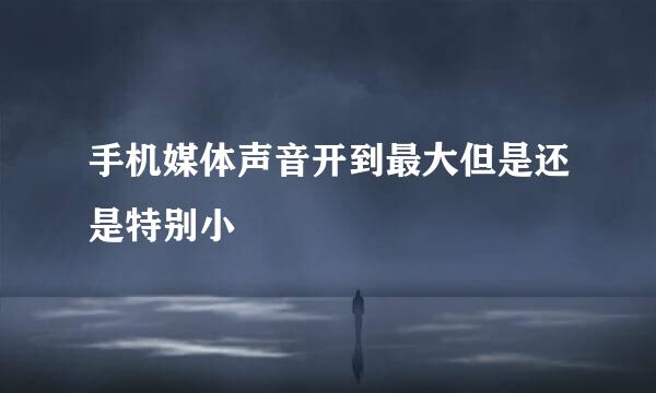 手机媒体声音开到最大但是还是特别小