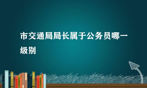 市交通局局长属于公务员哪一级别