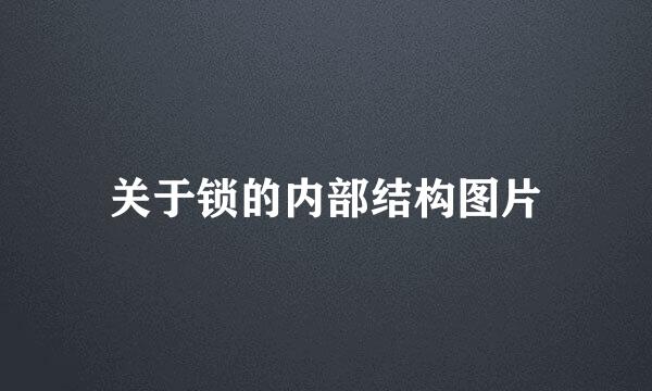 关于锁的内部结构图片