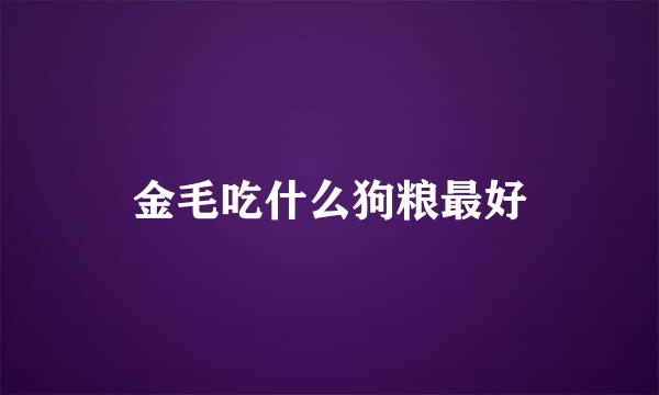 金毛吃什么狗粮最好