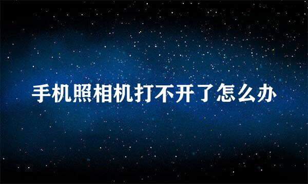 手机照相机打不开了怎么办