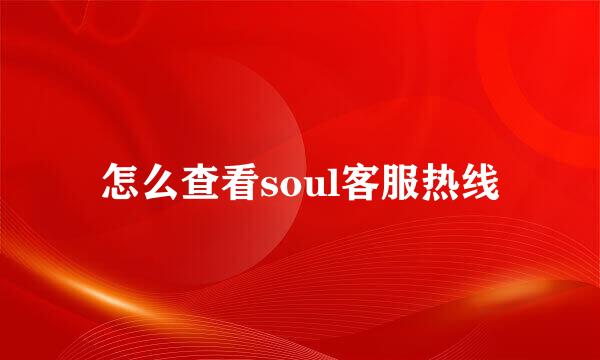 怎么查看soul客服热线