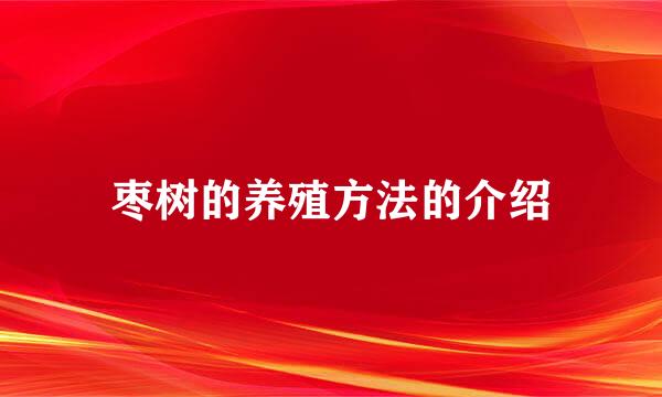 枣树的养殖方法的介绍