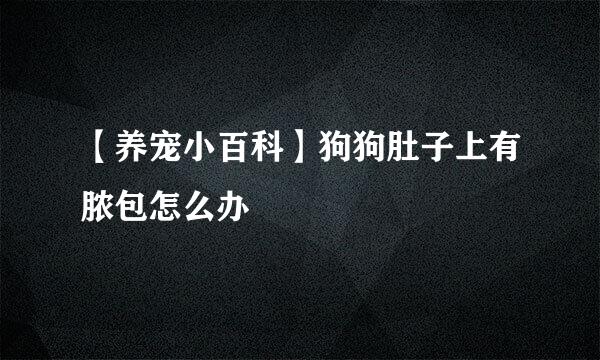 【养宠小百科】狗狗肚子上有脓包怎么办