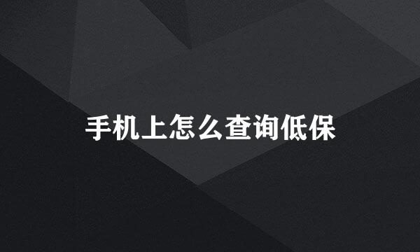 手机上怎么查询低保