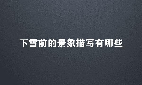 下雪前的景象描写有哪些