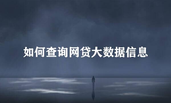 如何查询网贷大数据信息