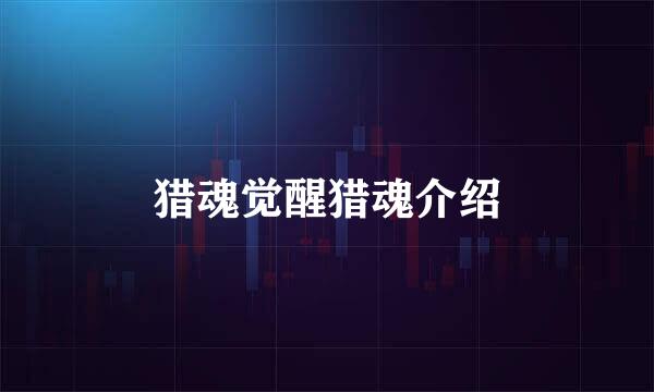 猎魂觉醒猎魂介绍