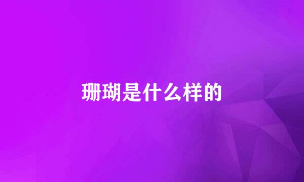 珊瑚是什么样的
