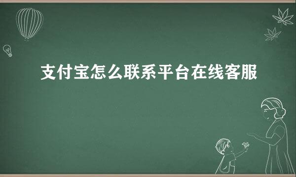 支付宝怎么联系平台在线客服