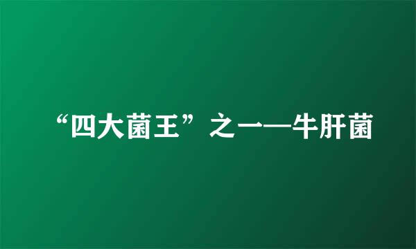 “四大菌王”之一—牛肝菌