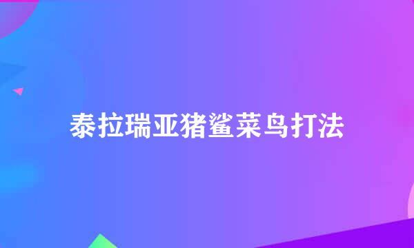 泰拉瑞亚猪鲨菜鸟打法