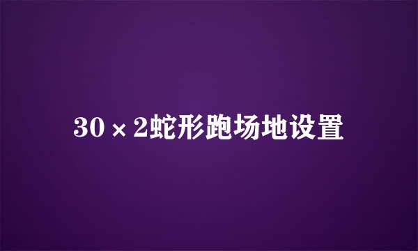 30×2蛇形跑场地设置