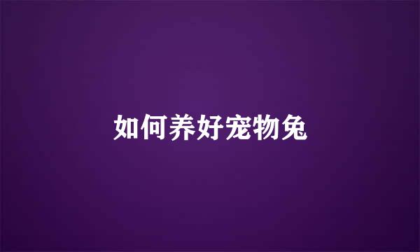 如何养好宠物兔