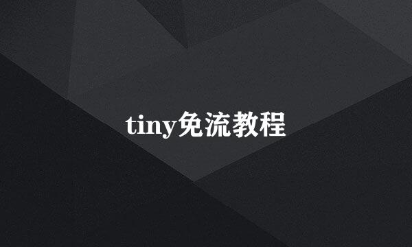 tiny免流教程
