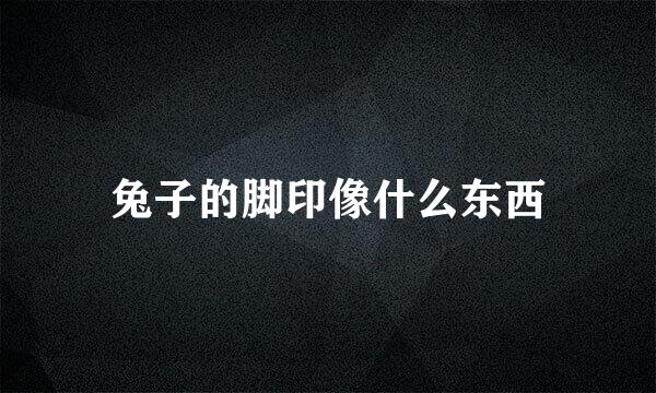 兔子的脚印像什么东西