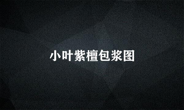小叶紫檀包浆图