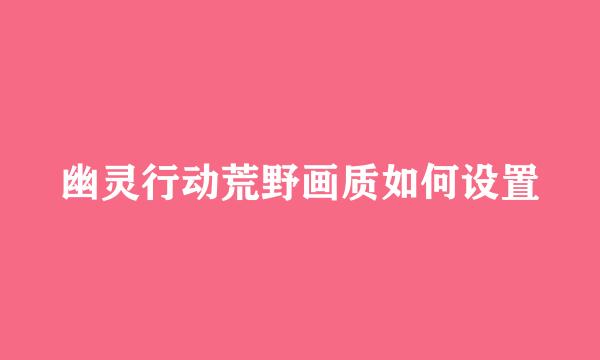 幽灵行动荒野画质如何设置