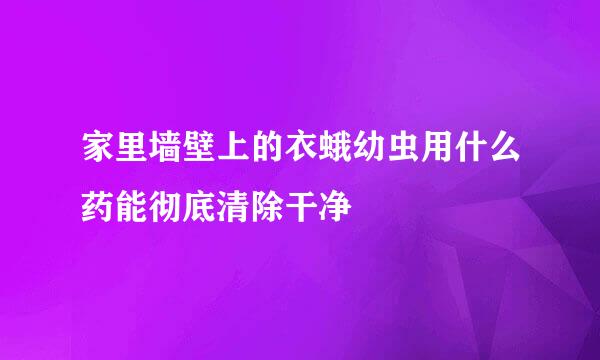 家里墙壁上的衣蛾幼虫用什么药能彻底清除干净