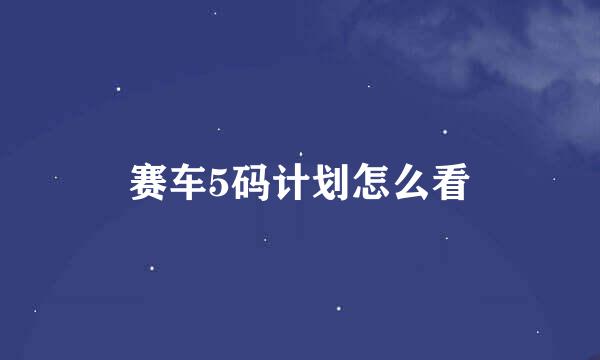 赛车5码计划怎么看