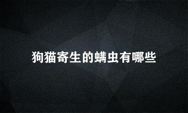 狗猫寄生的螨虫有哪些