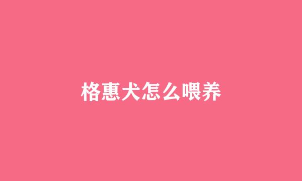 格惠犬怎么喂养