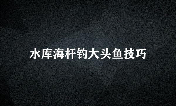 水库海杆钓大头鱼技巧
