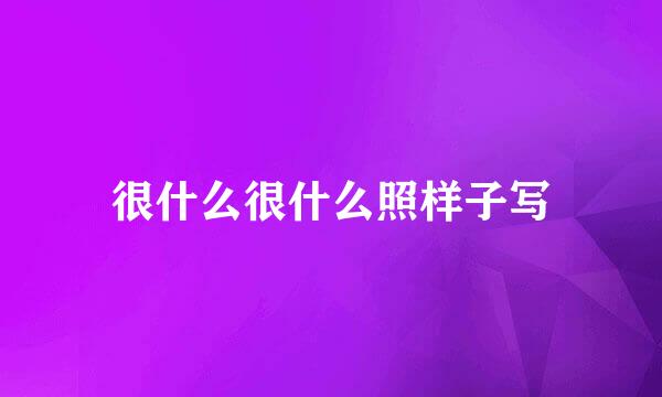 很什么很什么照样子写