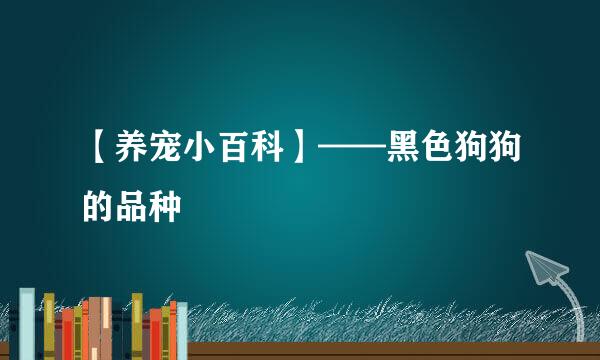 【养宠小百科】——黑色狗狗的品种