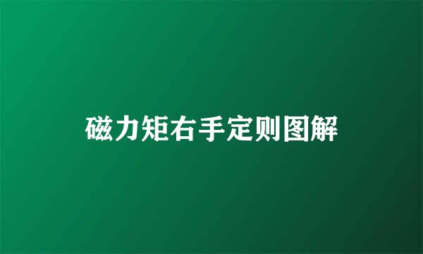 磁力矩右手定则图解