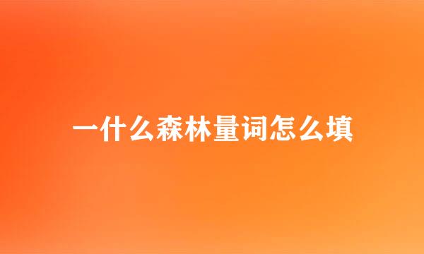 一什么森林量词怎么填