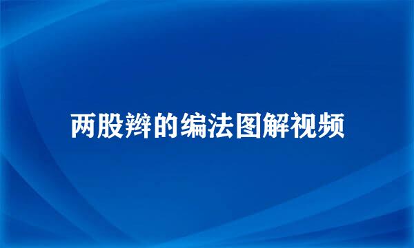 两股辫的编法图解视频