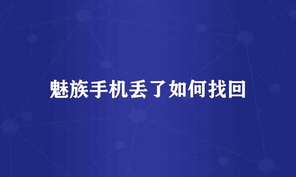 魅族手机丢了如何找回