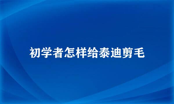 初学者怎样给泰迪剪毛