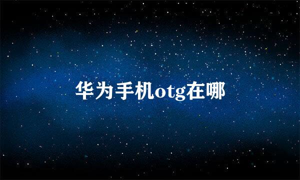 华为手机otg在哪