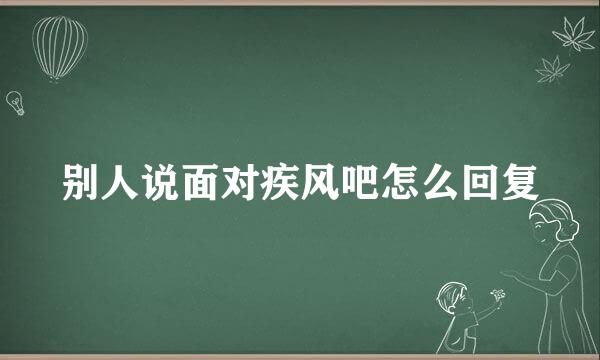 别人说面对疾风吧怎么回复