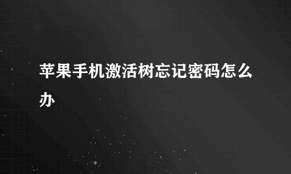 苹果手机激活树忘记密码怎么办