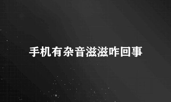 手机有杂音滋滋咋回事