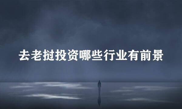 去老挝投资哪些行业有前景