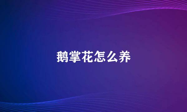 鹅掌花怎么养