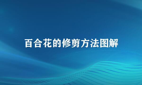 百合花的修剪方法图解