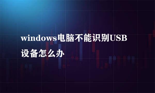 windows电脑不能识别USB设备怎么办
