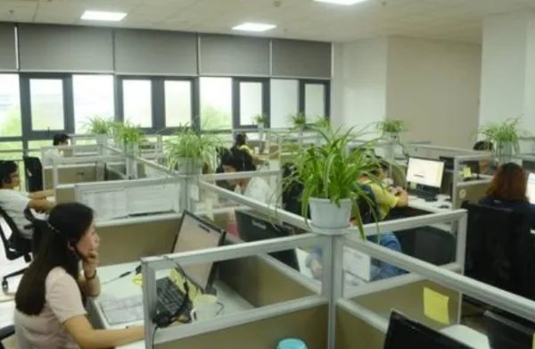 劳动者在试用期的工资不得低于本单位相同的多少？