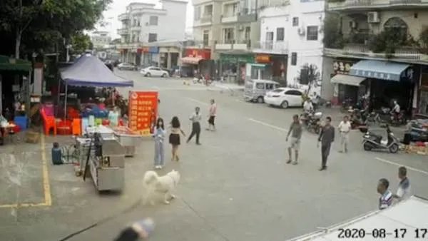 牵狗女孩表示因害怕逃跑