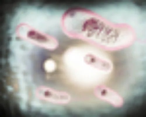 上海武警医院整形美容“三八”优惠活动