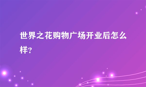 世界之花购物广场开业后怎么样？