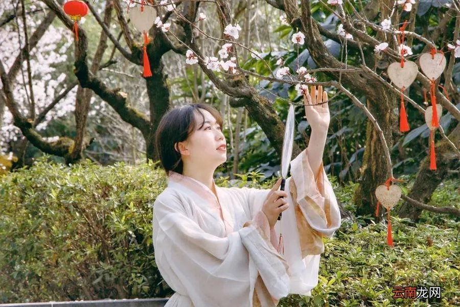 红杏枝头春意闹 红杏枝头春渐悄