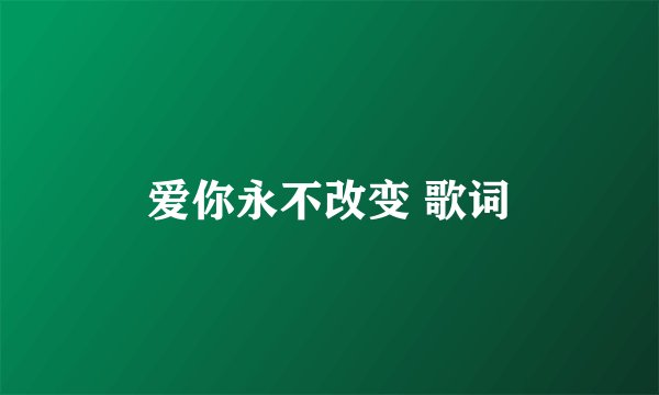 爱你永不改变 歌词