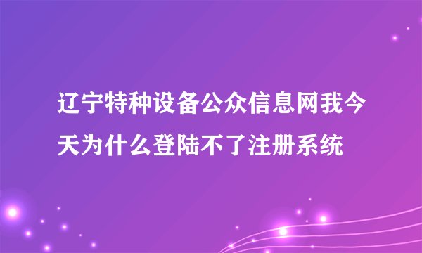 辽宁特种设备公众信息网我今天为什么登陆不了注册系统