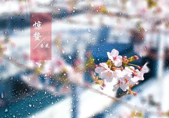 2020年惊蛰时间几点几分 2020惊蛰节气的具体时间